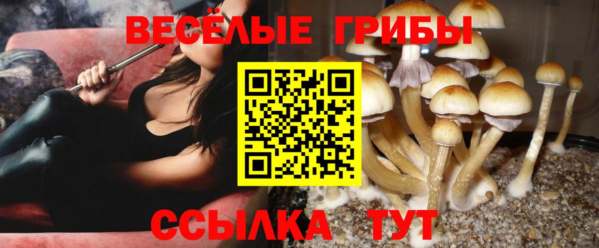 Псилоцибиновые грибы ЛСД Клин