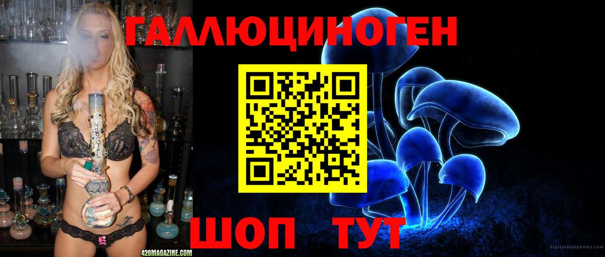 Клин  Псилоцибиновые грибы Psilocybe  Вход с VPN 